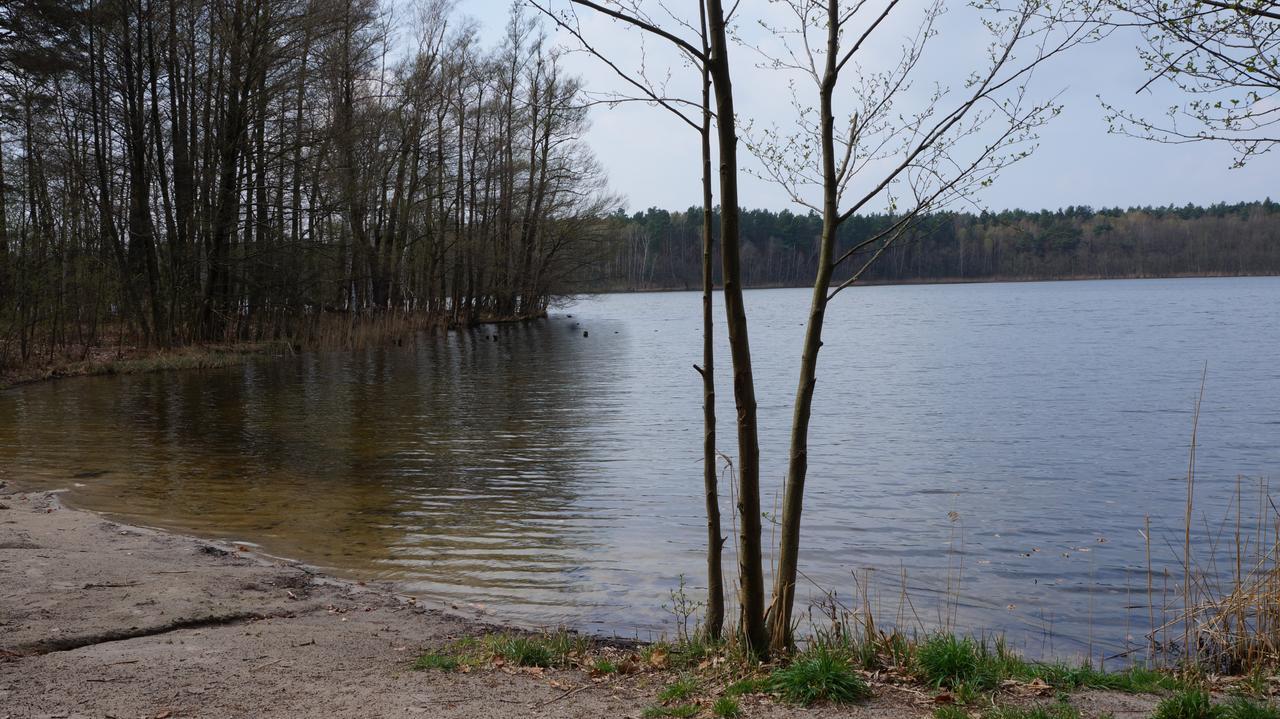 "Maerkische Traube" Idyllisches Gaestehaus Fuer Selbsversorger Zesch Esterno foto